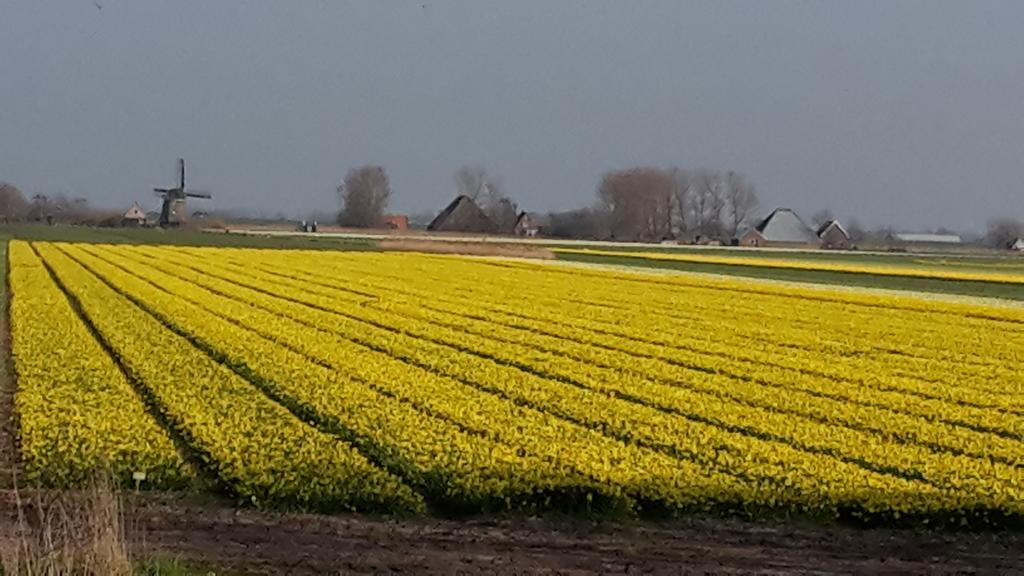 Vredehof Sint Maartensbrug Exterior foto